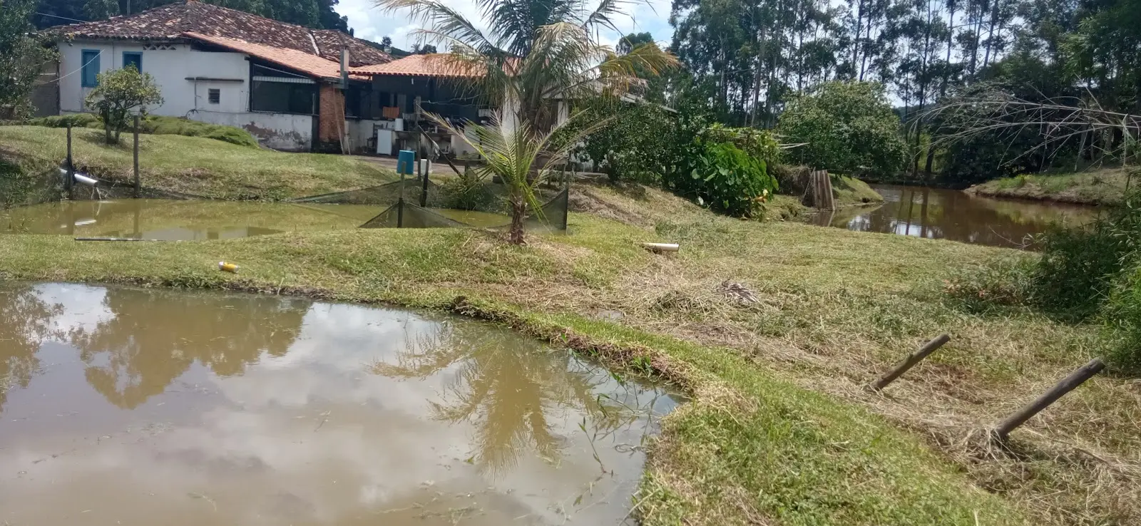 Pesque e Pague Miguel, na estrada do Córrego 4, na Encruzilhada, em Caratinga