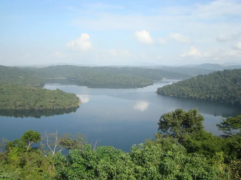 Lagoa de água escura cercada por mata fechada no Parque Estadual do Rio Doce