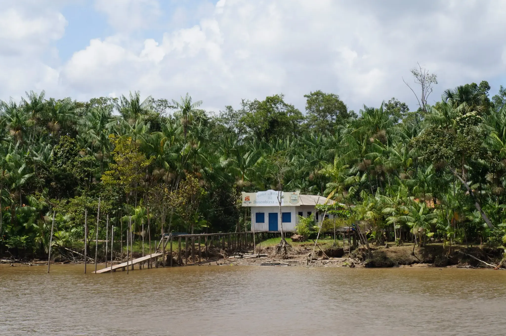 Margem do rio Acará com casa de madeira sobre palafita e açaizal fechado atrás