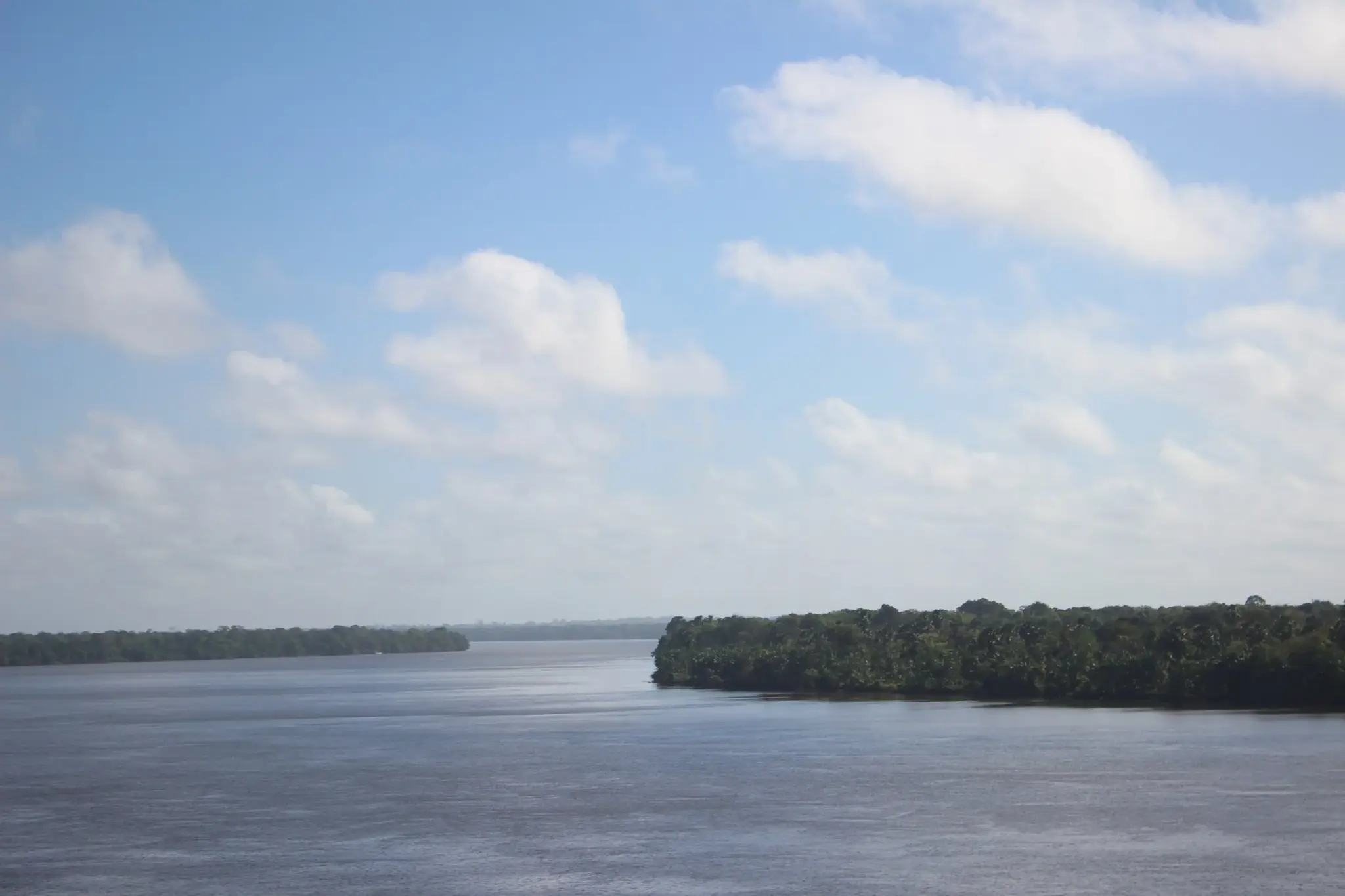 Rio Moju largo visto da ponte, com ponta de mata avançando sobre a água