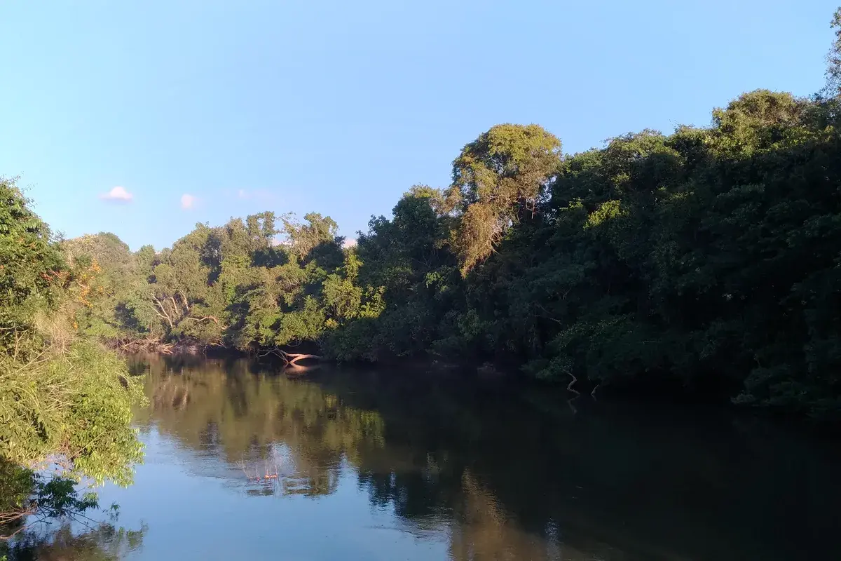 Rio Jamanxim correndo pela floresta, no oeste do Pará