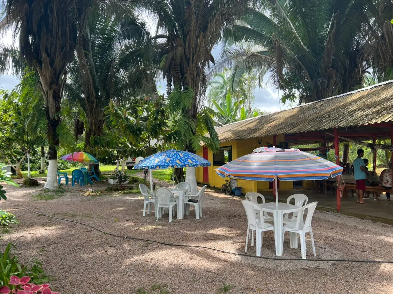 Mesas brancas sob guarda-sóis coloridos entre palmeiras, ao lado de um quiosque amarelo coberto, no Pesqueiro Primavera