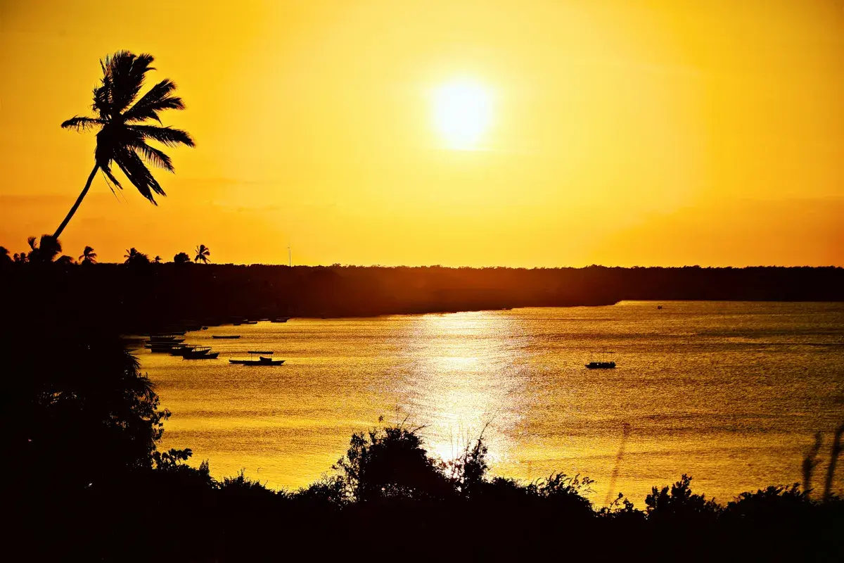 Rio Mamanguape