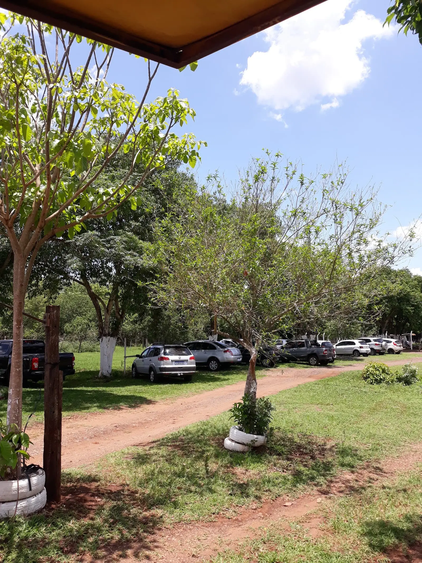 Pesqueiro Canção em Maringá, Norte do Paraná