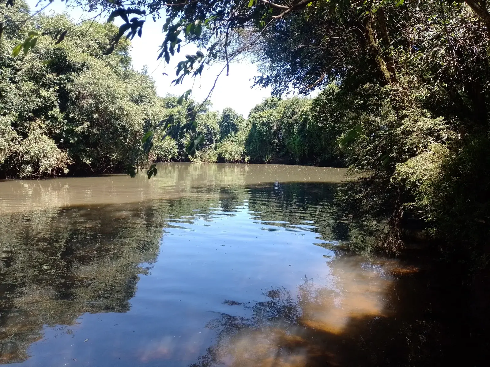 Trecho do Rio Marmeleiro entre mata ciliar no sudoeste do Paraná