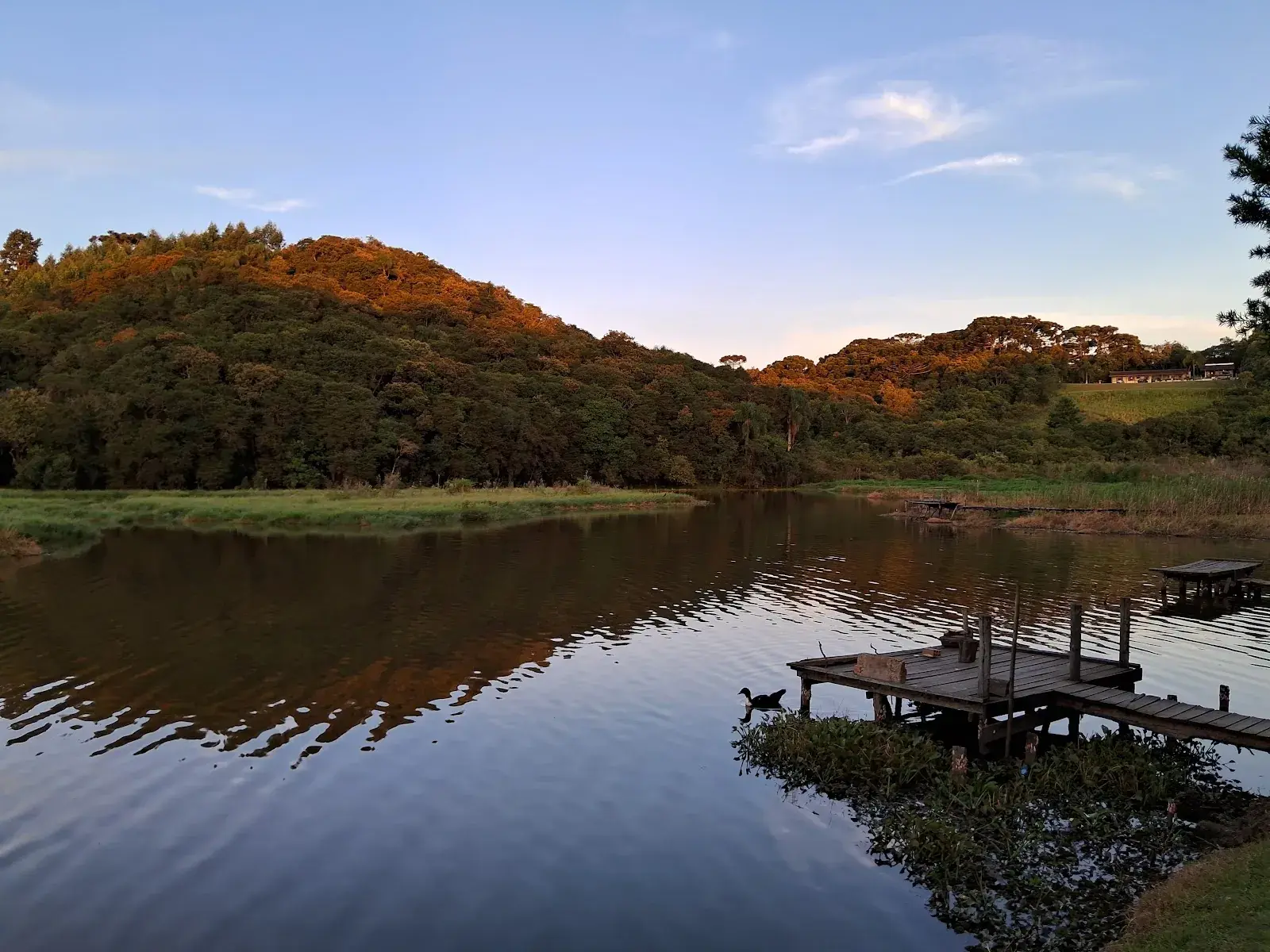 Bosque e Pague Pesque Chave de Ouro em Araucária, Paraná