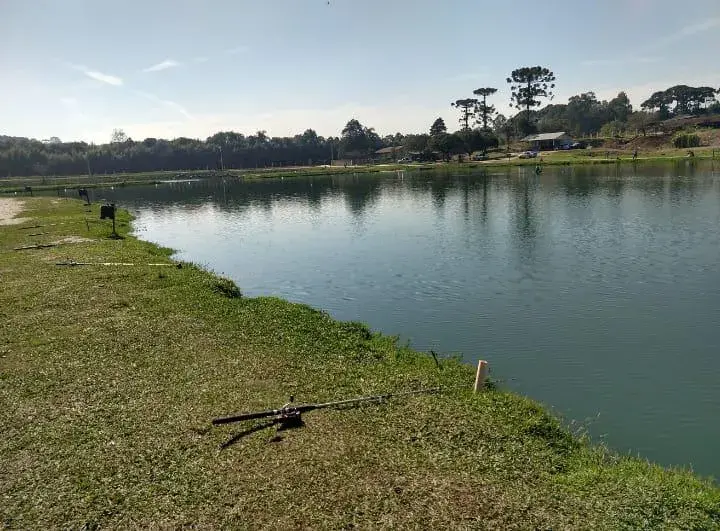Pague e Pesque São José dos Pinhais