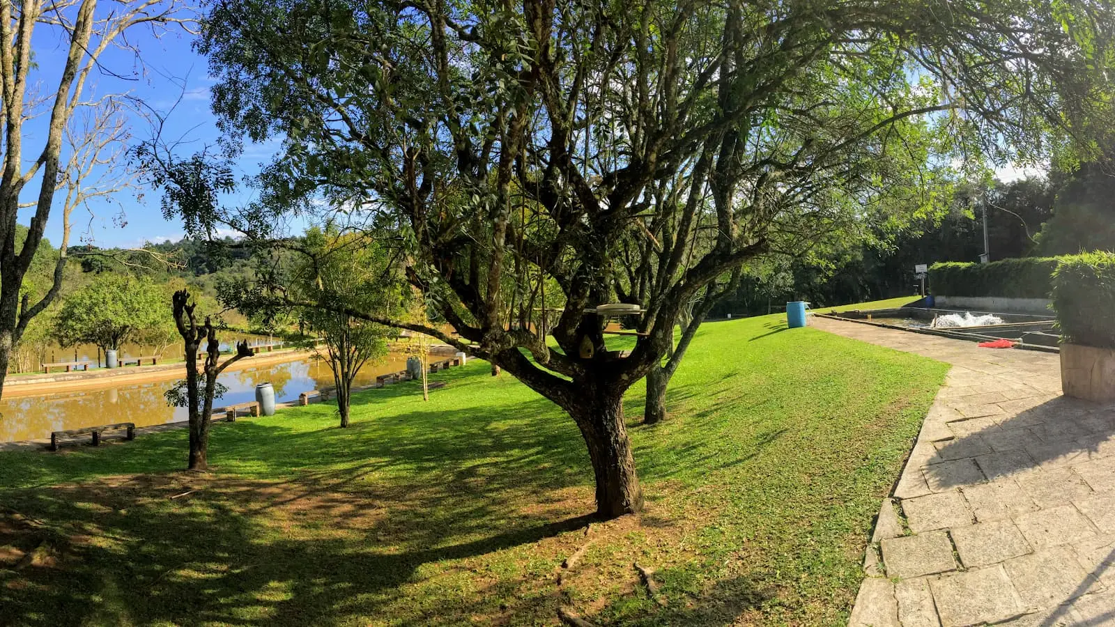 Pesk e Pag Bom Pescador em Campo Largo, Paraná