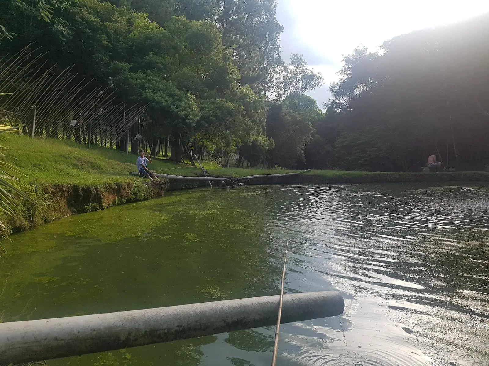 Pesque e Pague São Vicente em Curitiba, Paraná