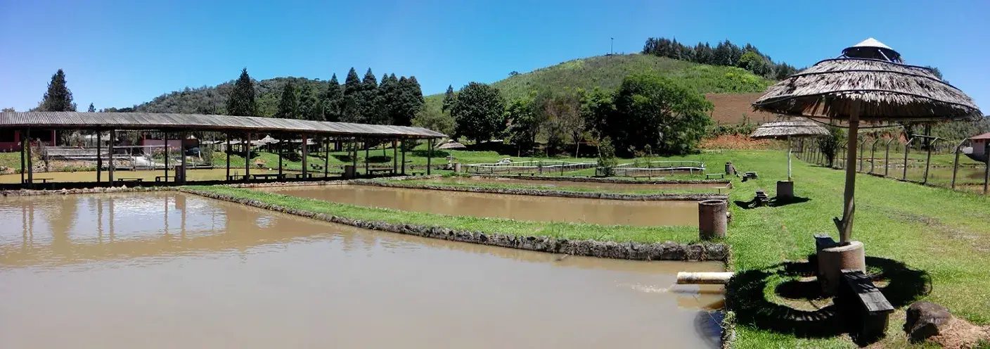 Pesqueiro Park Novo Oriente em Campina Grande do Sul, Paraná