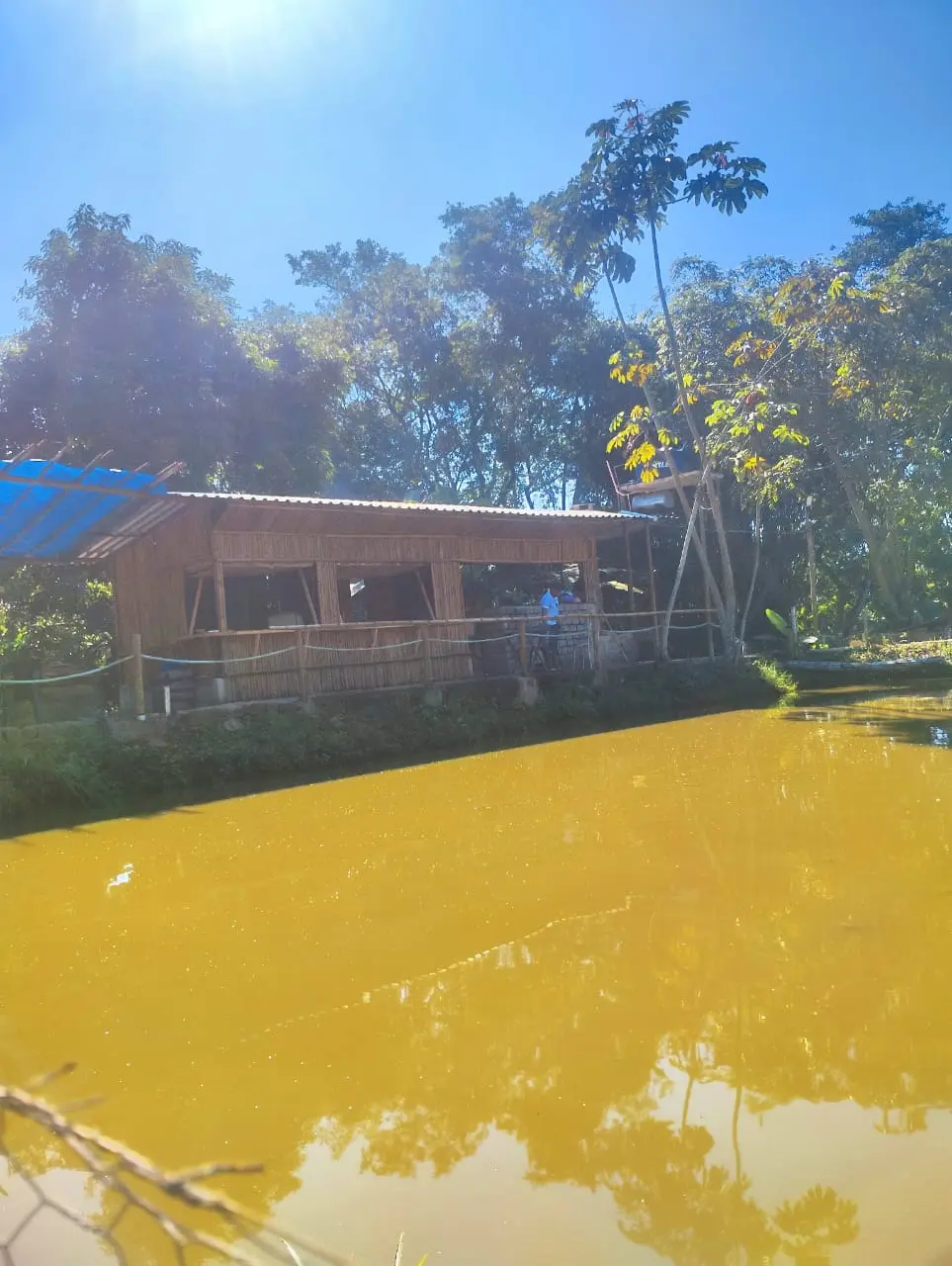 O Pesqueiro do Paulista, em Jardim Cachoeira, Nova Iguaçu, Rio de Janeiro