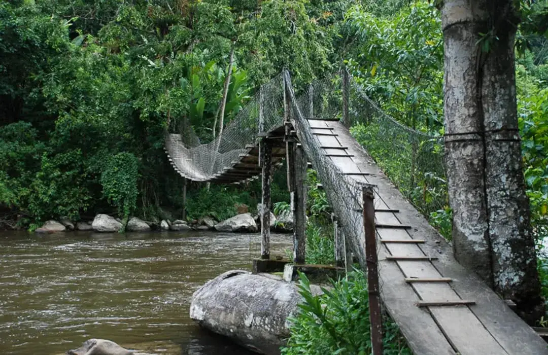 Rio Mambucaba correndo entre a Mata Atlântica, em Angra dos Reis