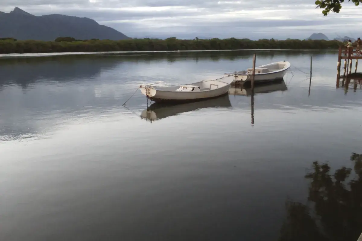 Rio São João correndo entre a mata em Barra de São João, no litoral do Rio de Janeiro