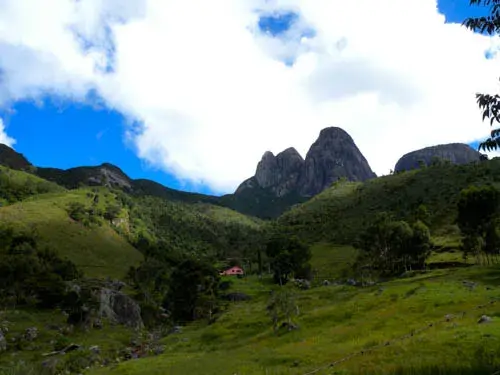Mata da Serra dos Órgãos no Parque Estadual dos Três Picos, região do Rio Grande (RJ)