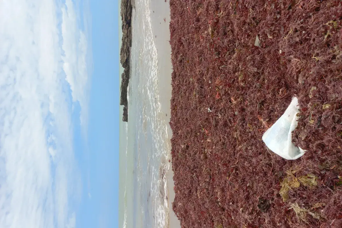 Praia de Galinhos, no litoral do Rio Grande do Norte