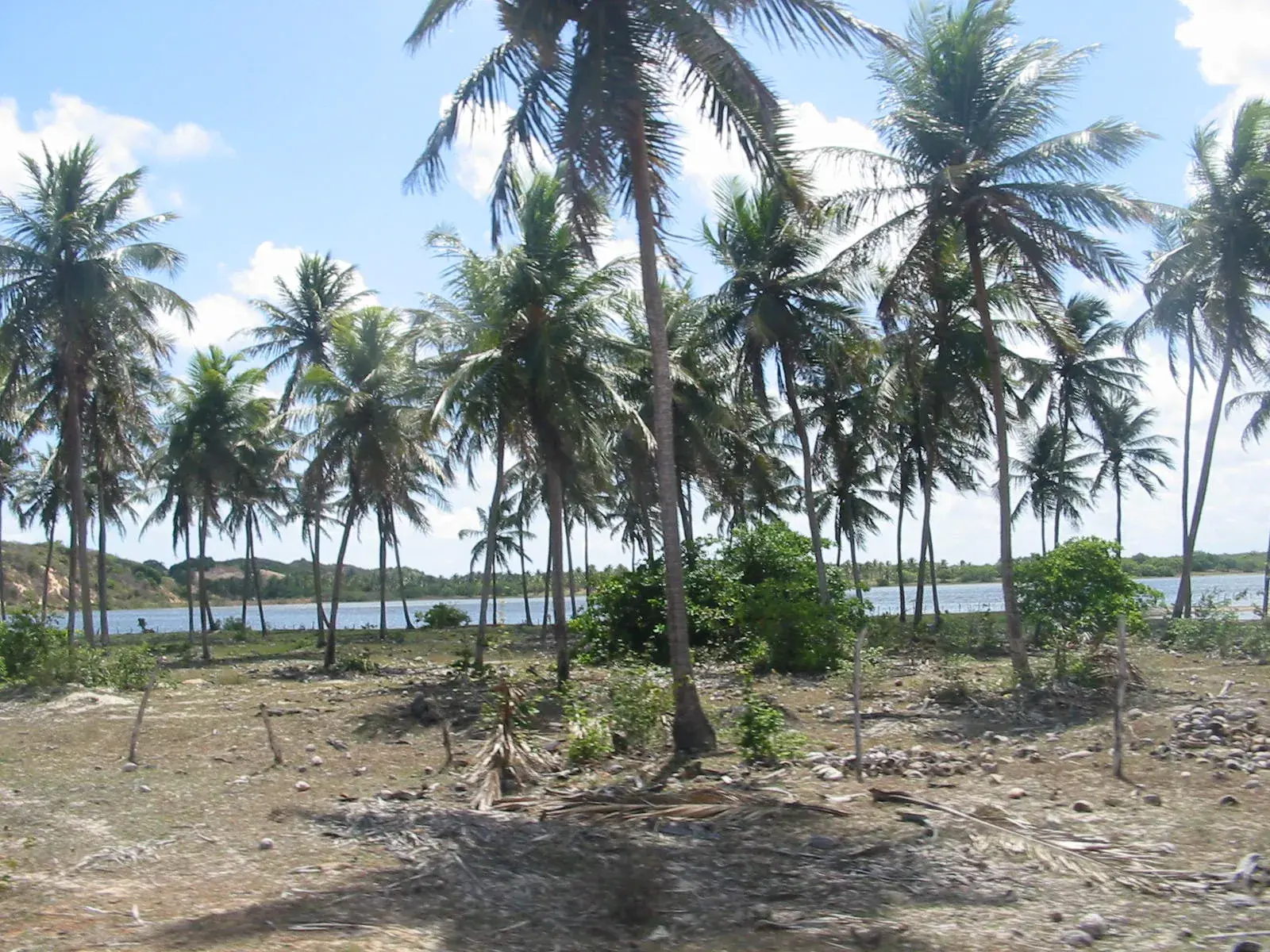 Praia de Touros, no litoral do Rio Grande do Norte