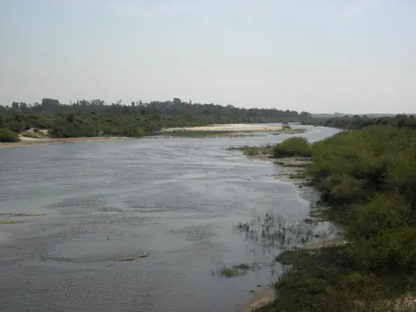 Trecho do Rio Ibicuí da Armada com barranco e vegetação de mata ciliar, na região de Alegrete