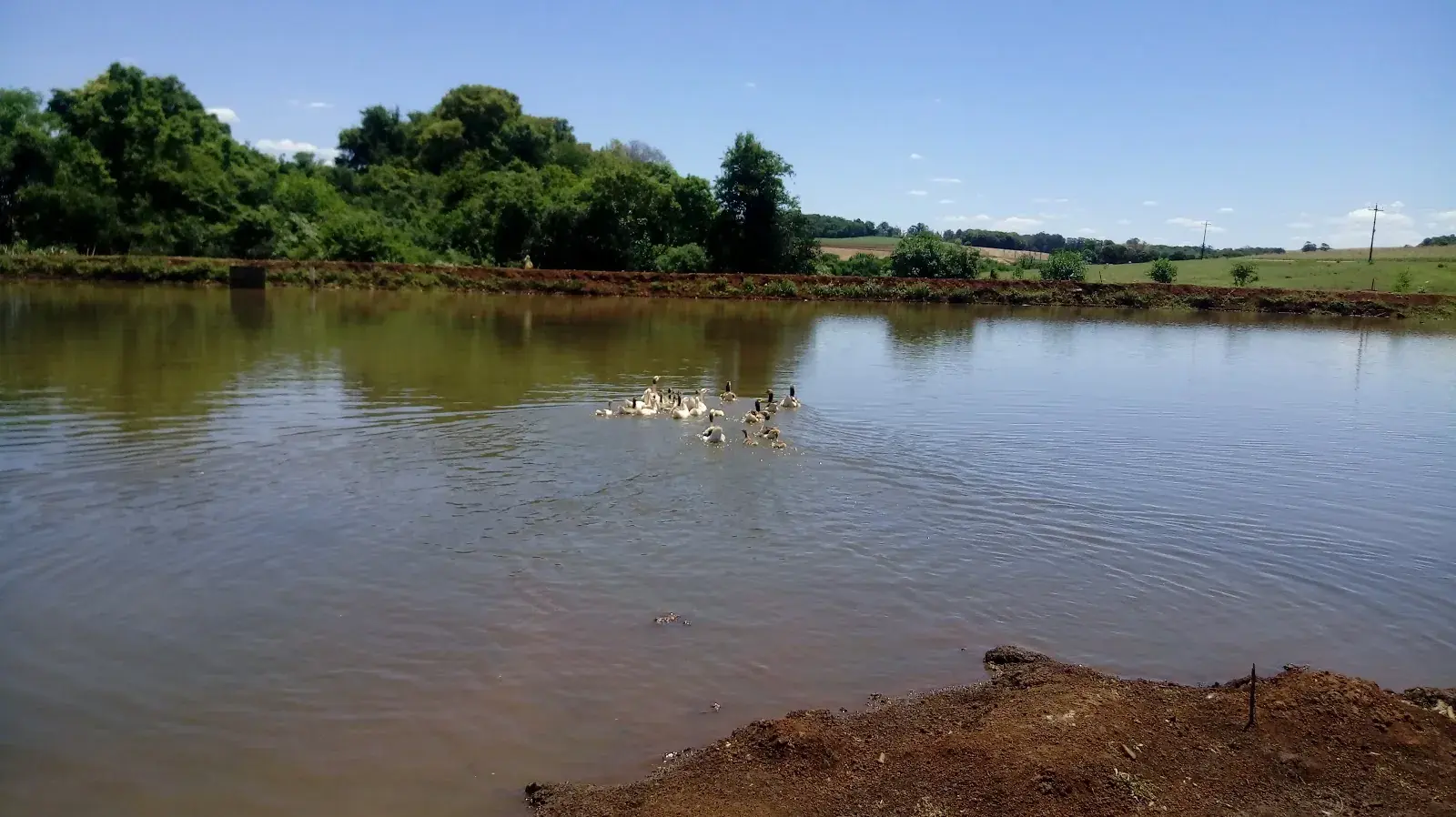 Pesqueiro Tell em Ijuí, Rio Grande do Sul