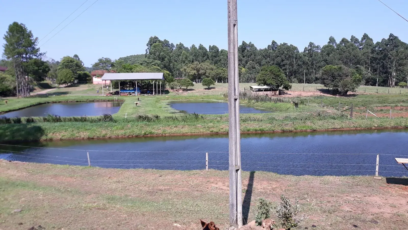 Pesque Pague Azevedo em Paverama, Rio Grande do Sul