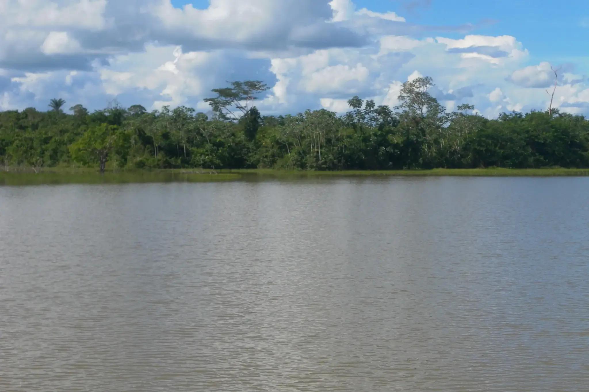 Rio Roosevelt Espigão d'Oeste