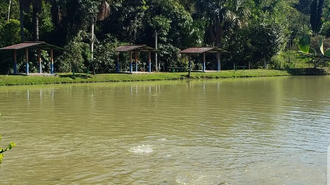 Lago da Chácara Panorama com três quiosques cobertos na margem gramada e mata ao fundo, em Porto Velho