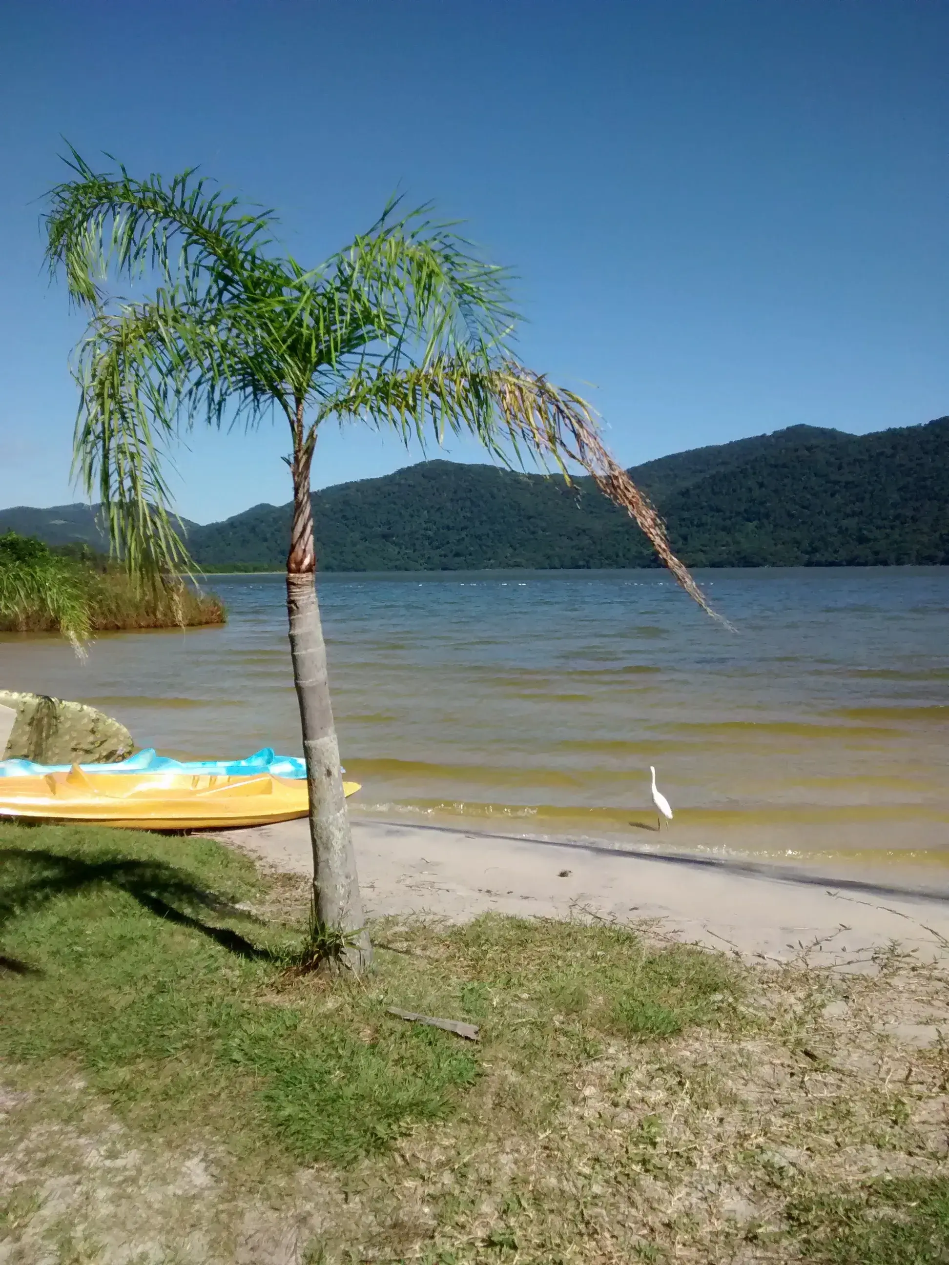 Águas calmas da Lagoa do Peri cercadas por morros de Mata Atlântica