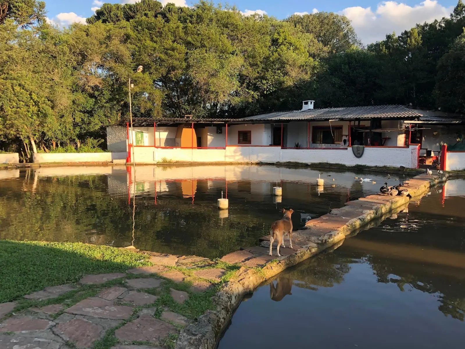Pesque e Pague do Madruga em Lages, Santa Catarina