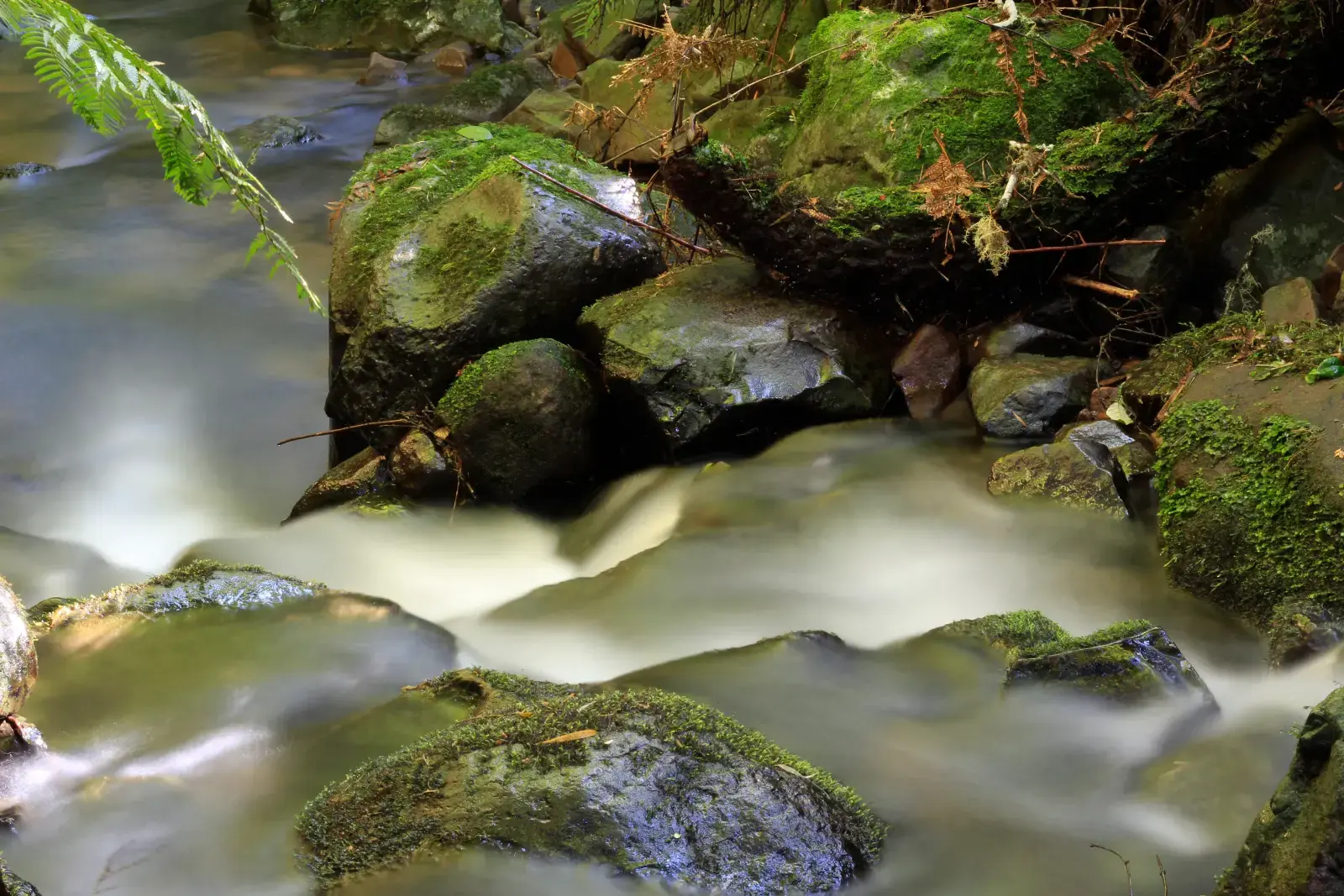 Trecho do Rio Canoas na Serra Catarinense