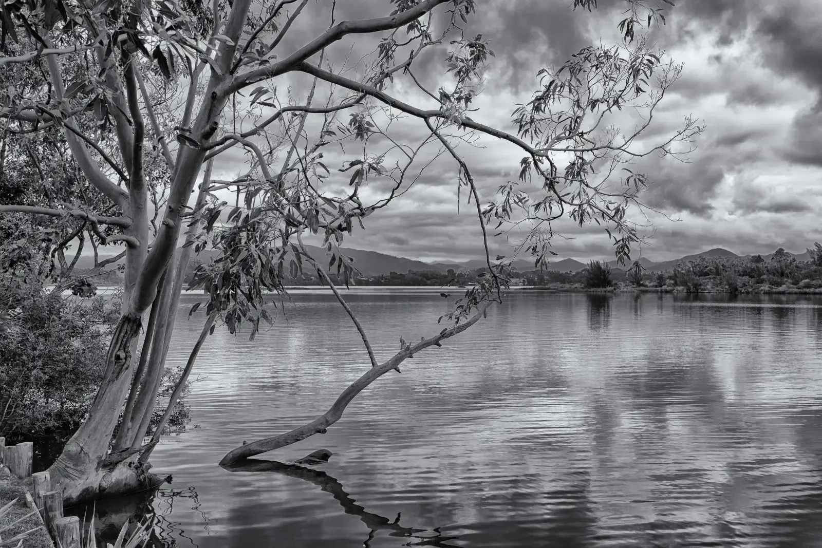Vista da Lagoa de Ibiraquera com as dunas ao fundo, em Santa Catarina
