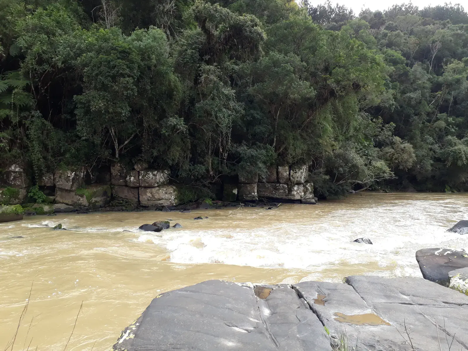 Águas correndo entre pedras num trecho serrano do Rio Itajaí-Mirim, cercado de mata