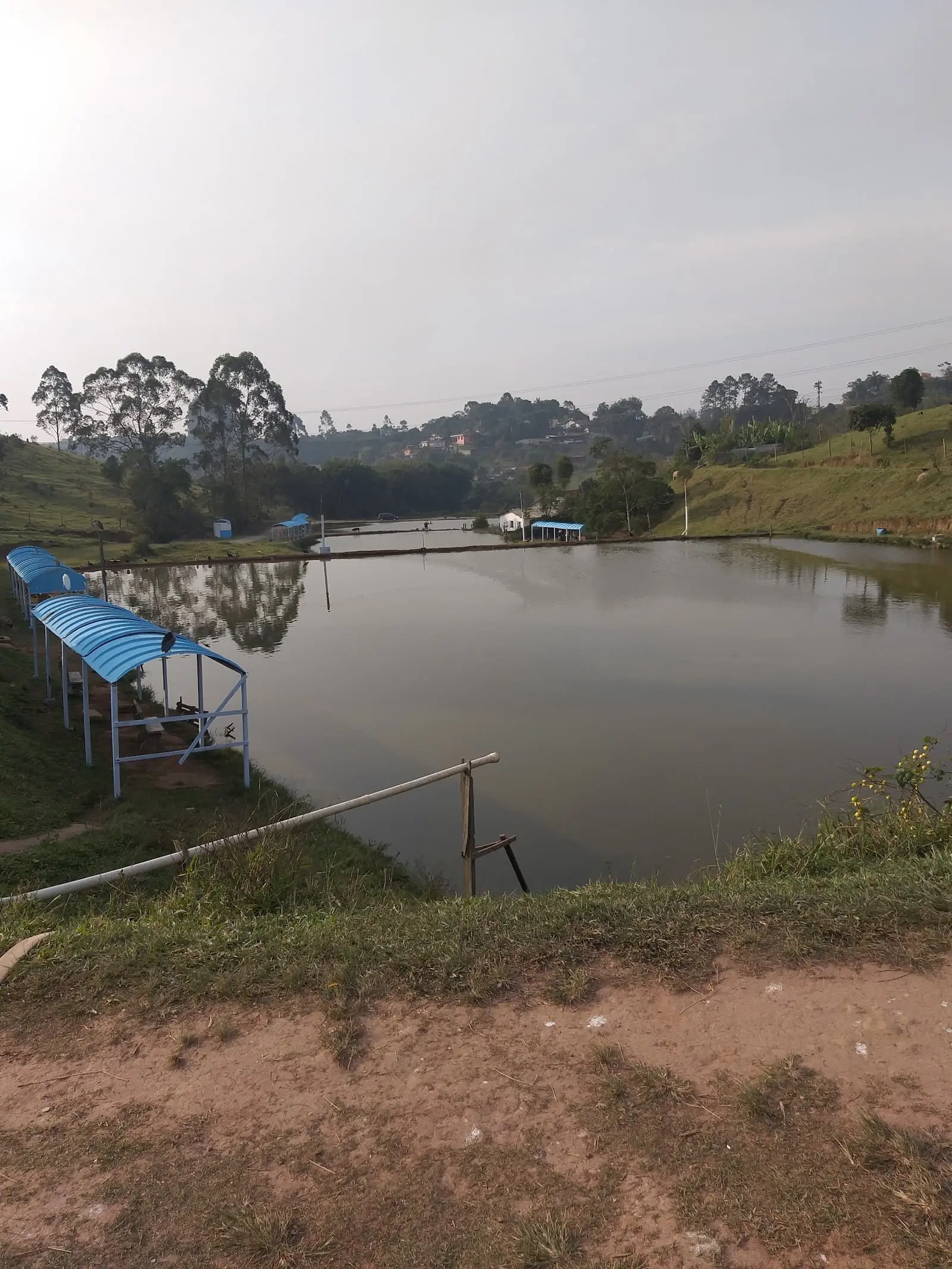 Lago do Pesqueiro do Zé Carlos em Suzano, com margem de terra e vegetação em volta