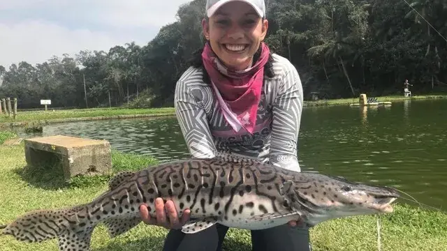 Pesqueiro Itapecerica em Itapecerica da Serra, São Paulo