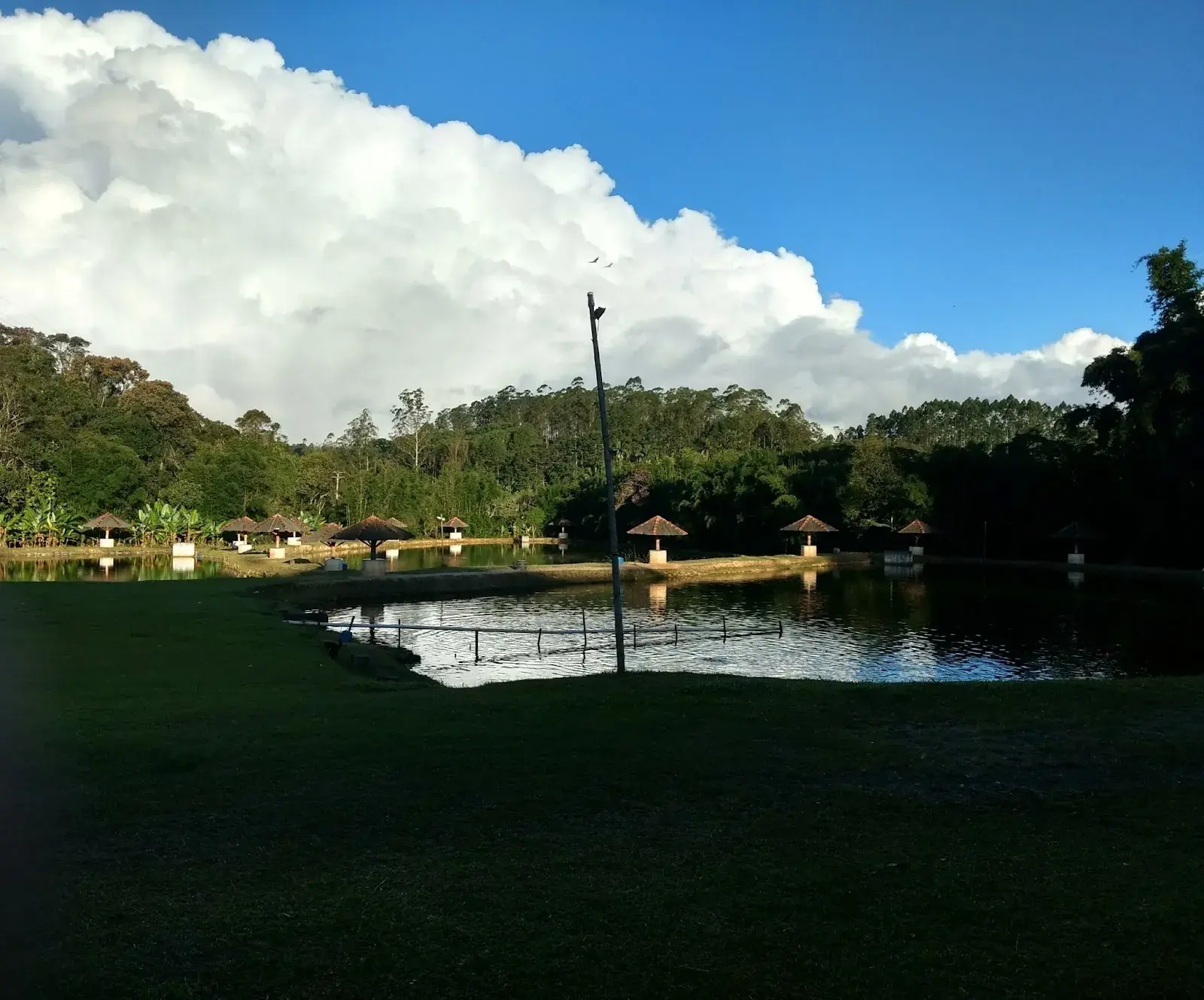 Pesqueiro Peixe Grande, pesque-pague em Suzano, São Paulo
