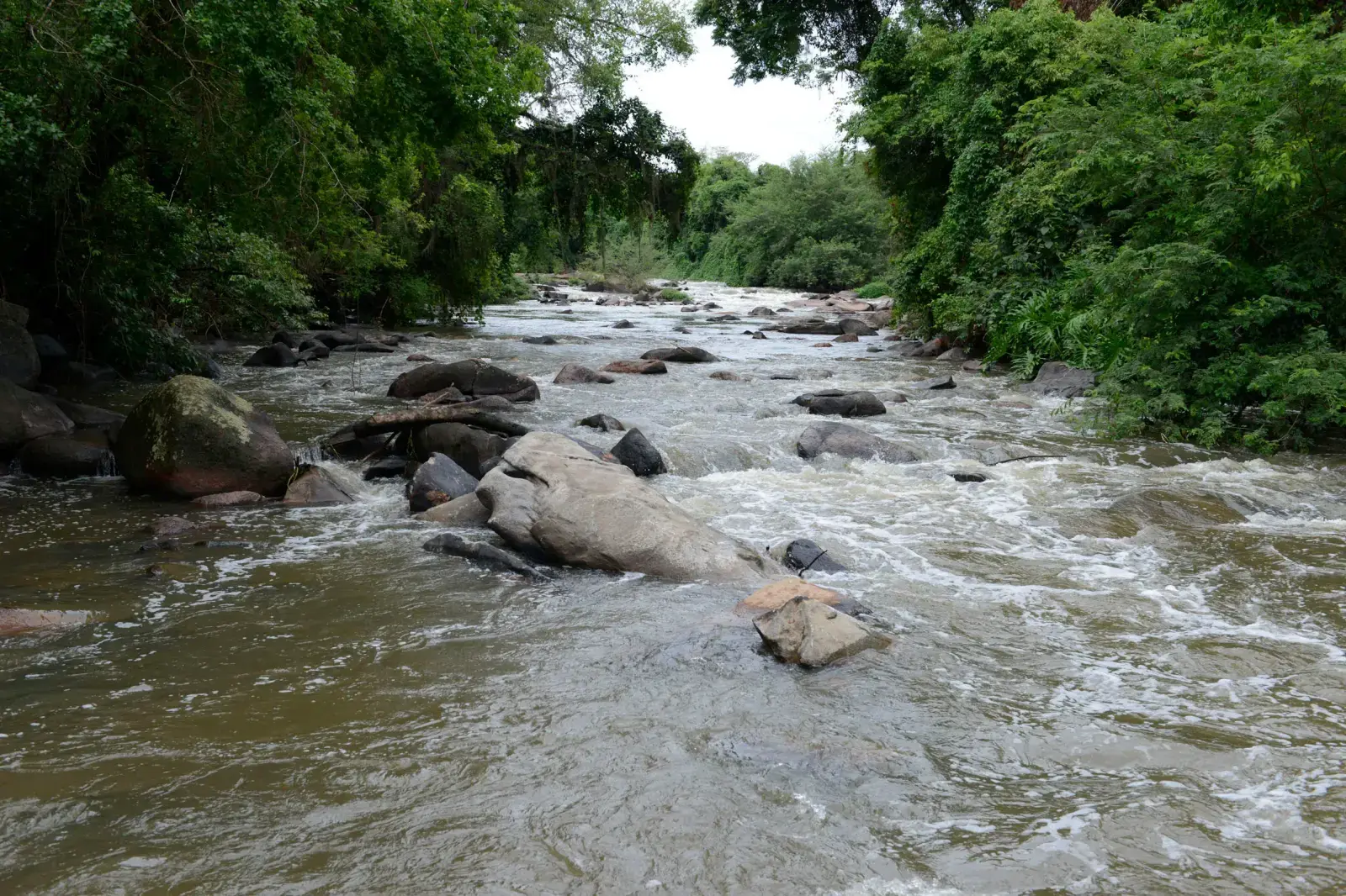 Rio Jundiaí: guia completo de pesca - pesca esportiva