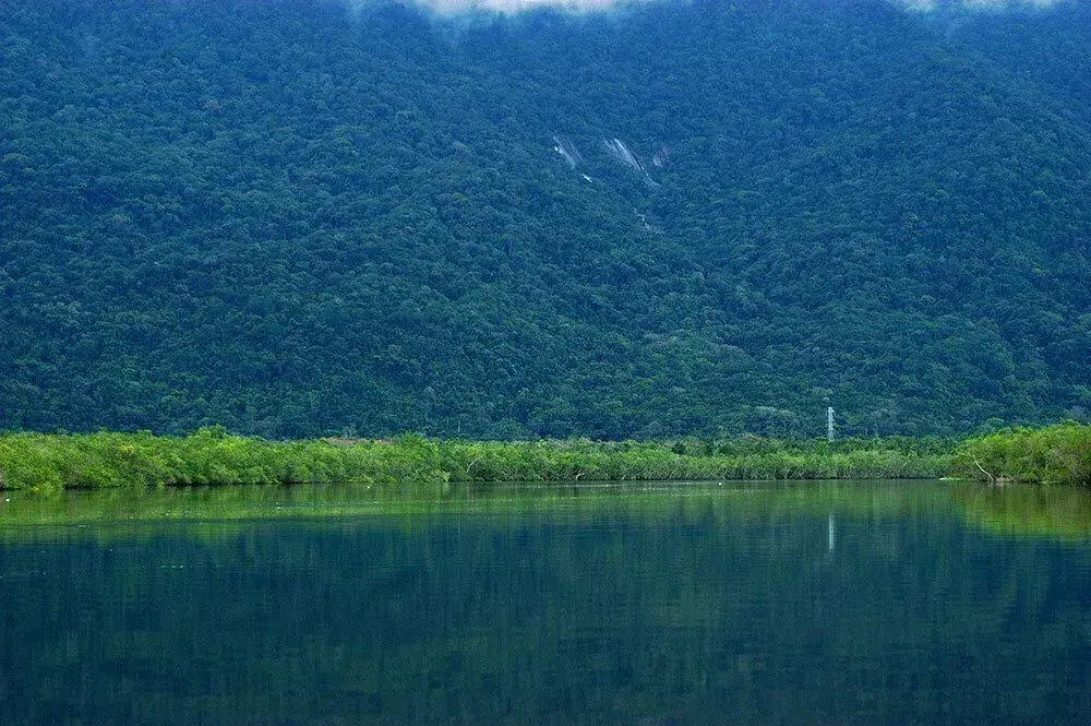 Rio Itapanhaú