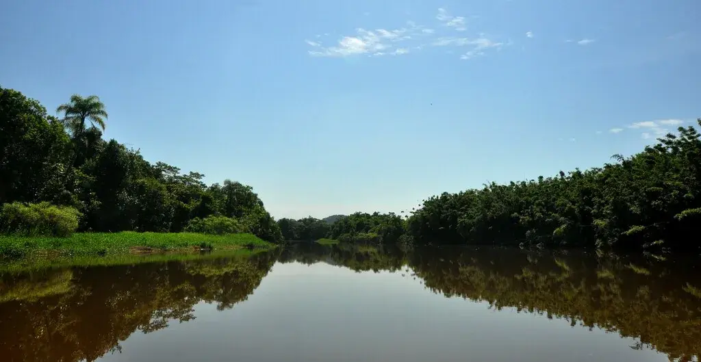 Rio Itanhaém correndo entre margens de mata, no litoral sul paulista