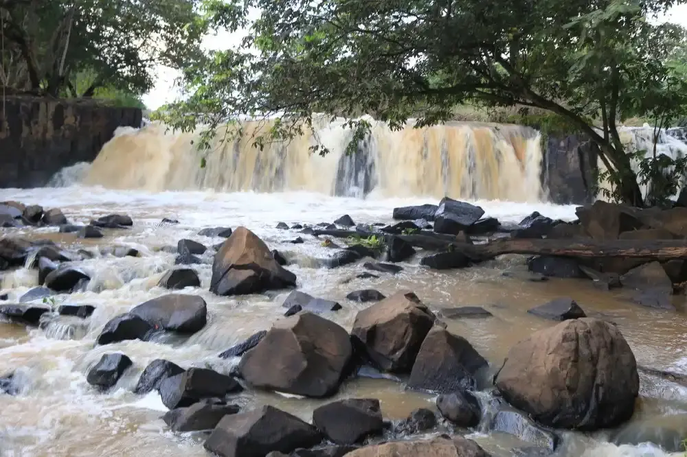 Rio Preto, oeste paulista