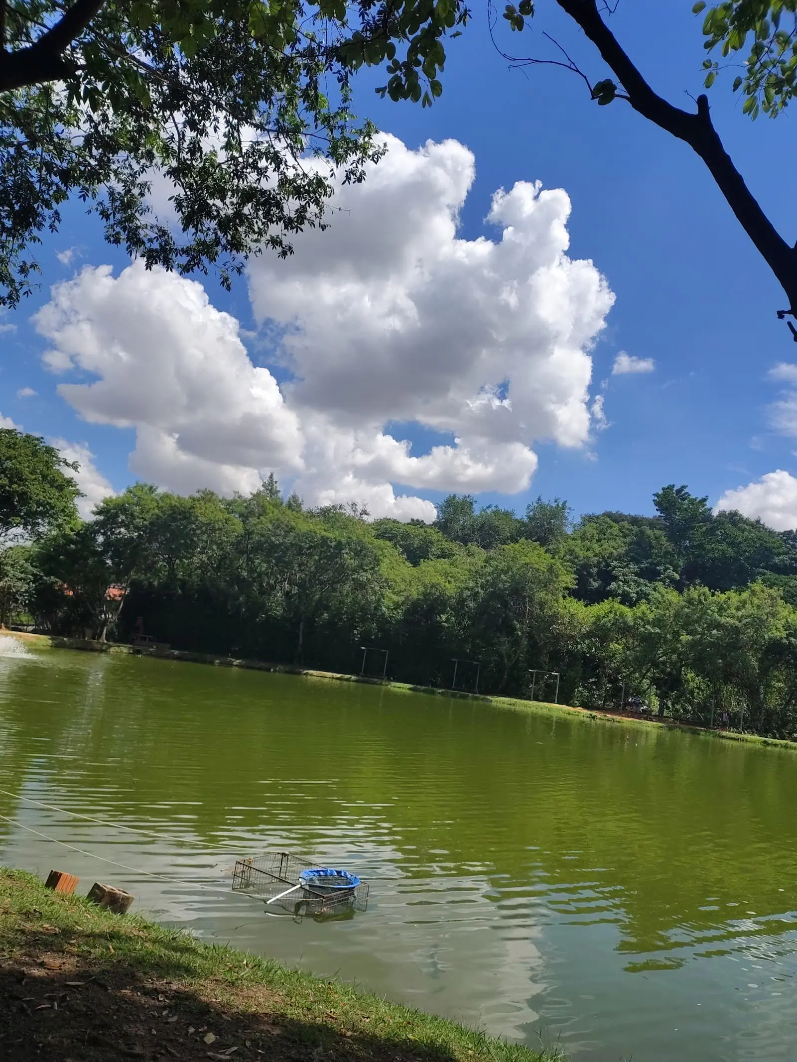 Pesqueiro Capela em Campinas, São Paulo