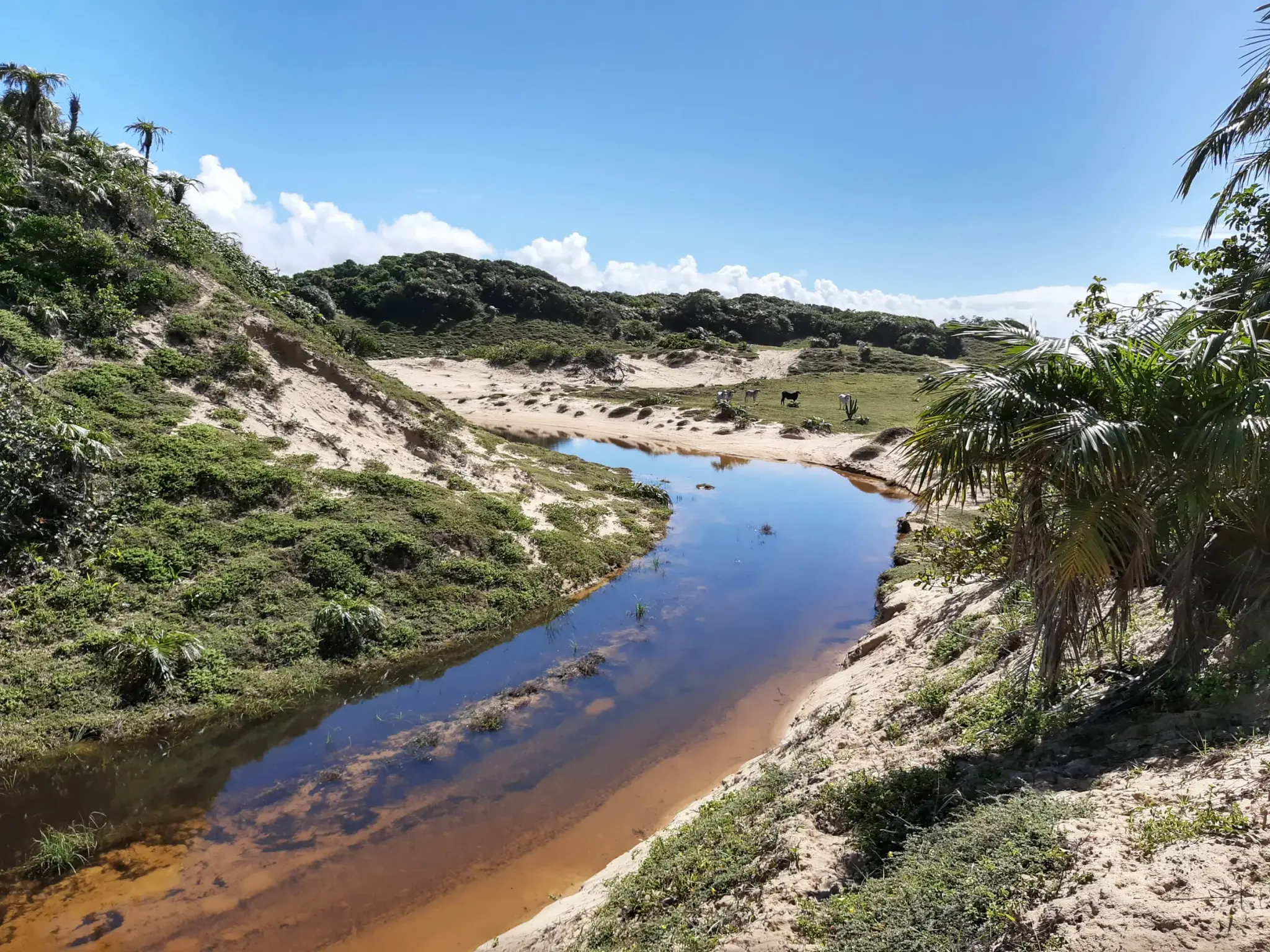 Caueira e Praia do Saco