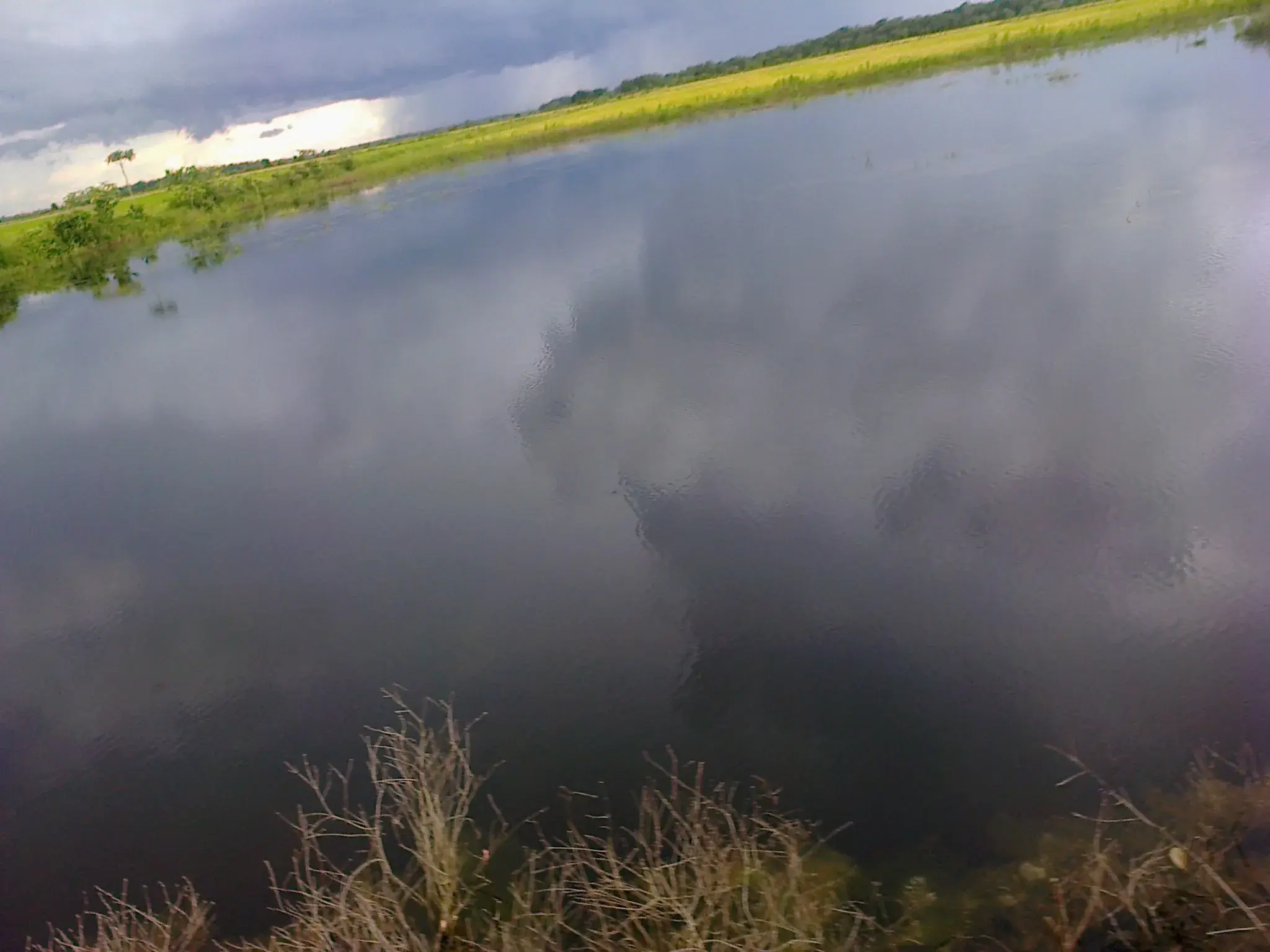 Lagos de Lagoa da Confusão com vegetação aquática e mata ciliar no Tocantins