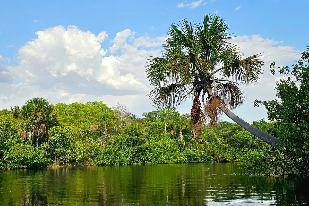 Rio do Sono