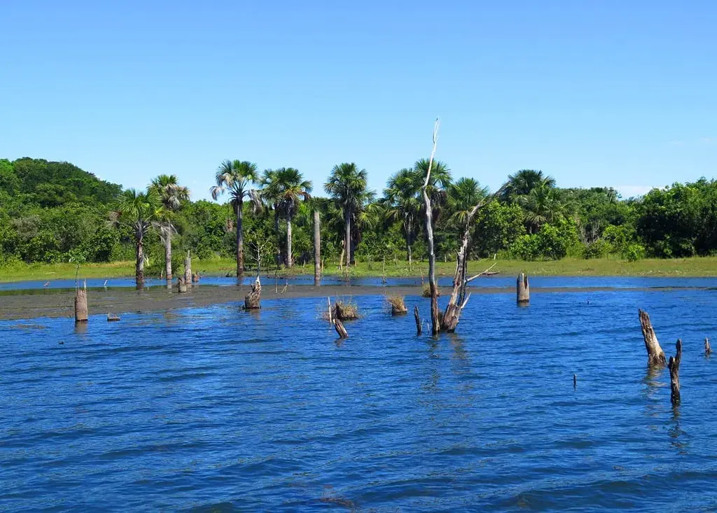 Águas calmas do Lago do Peixe cercadas de vegetação, no Tocantins