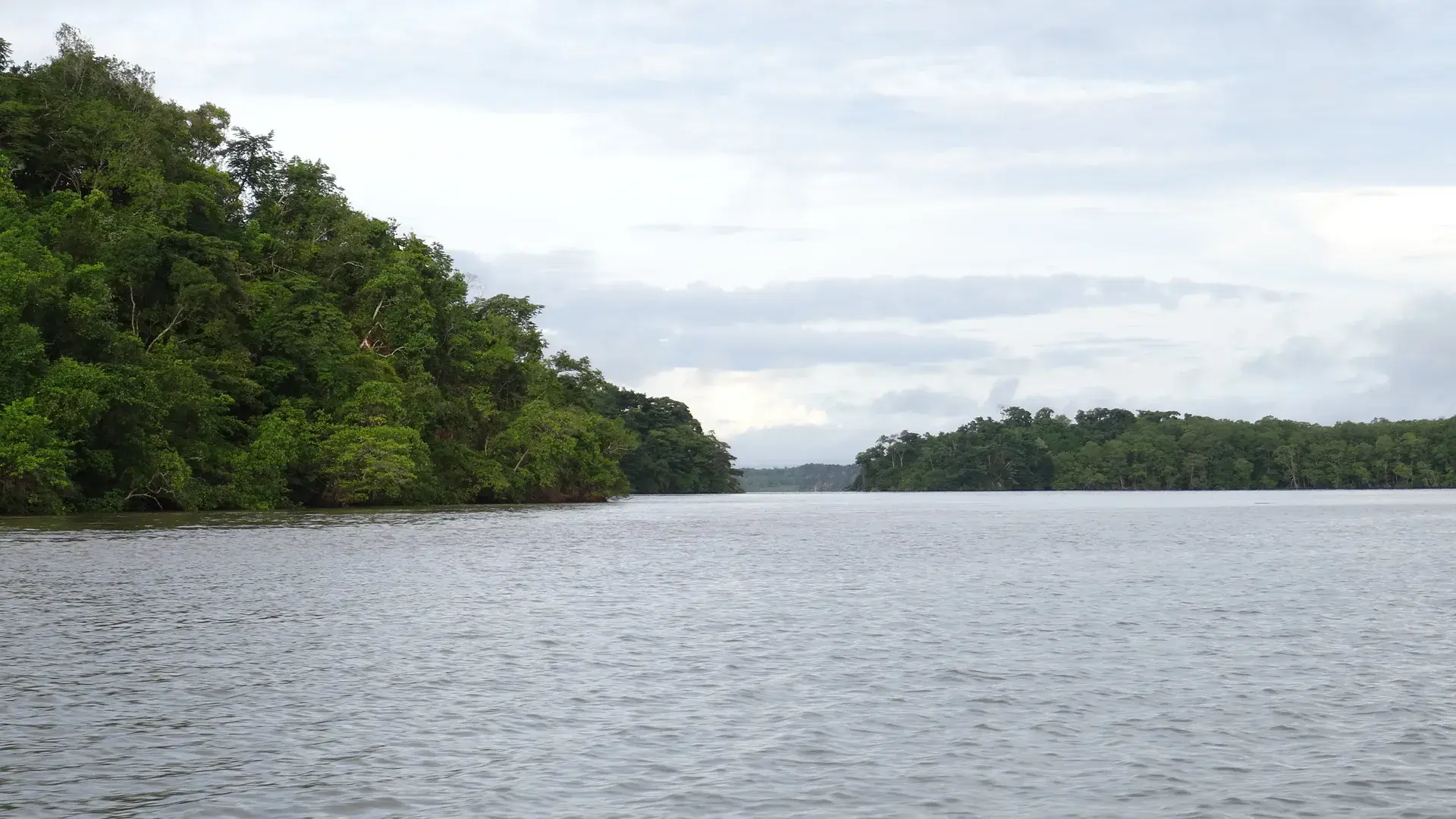 Rio Tuira (Panamá): guia completo de pesca