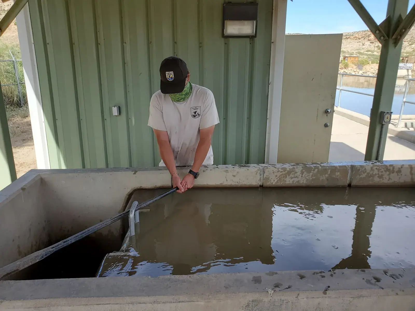Técnico soltando peixes de um tanque de transposição na margem do rio
