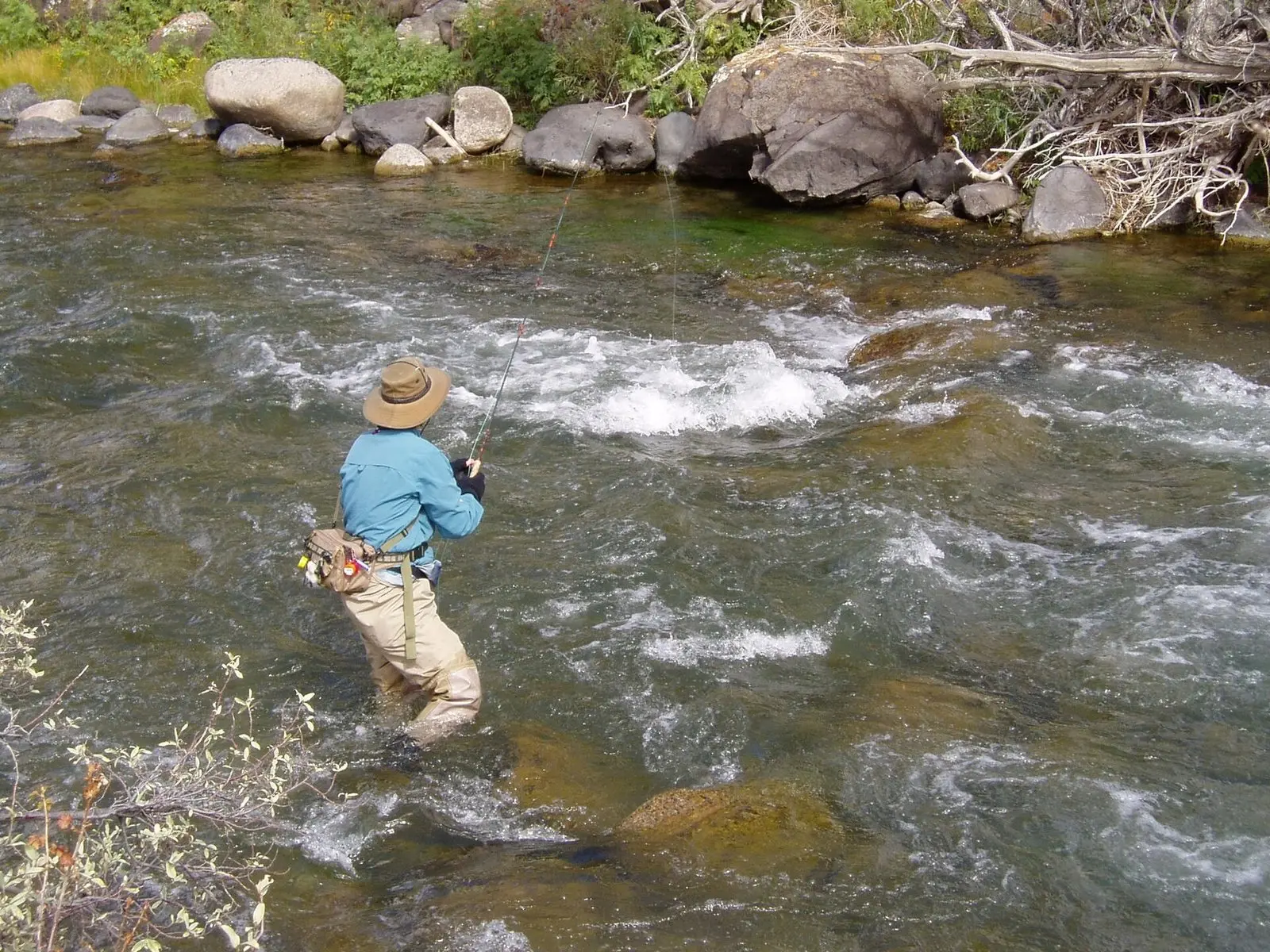 Pescador de fly dentro do rio conduzindo uma ninfa na correnteza entre pedras no Gardner River