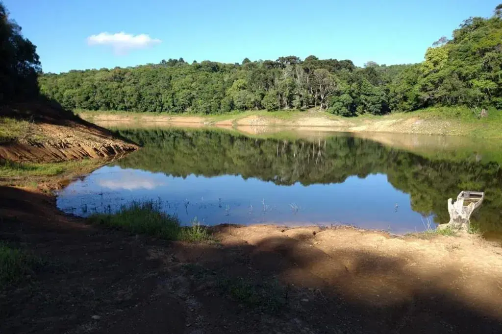 Pescador em uma represa com margem arborizada