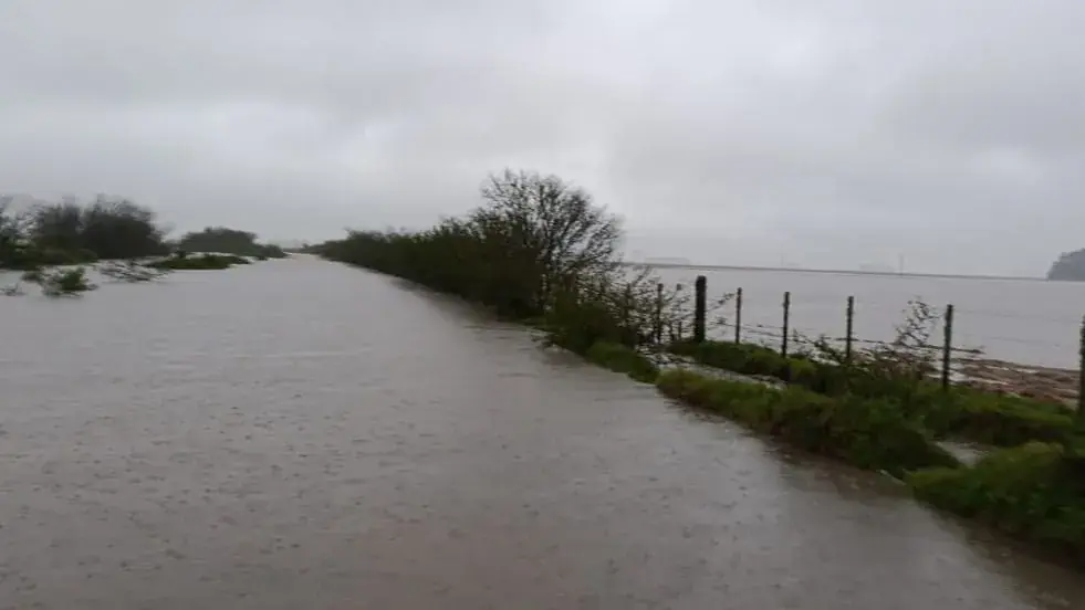 Pescador em área de várzea alagada