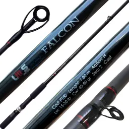 Lumis Falcon